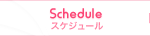 スケジュール Schedule