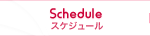 スケジュール Schedule